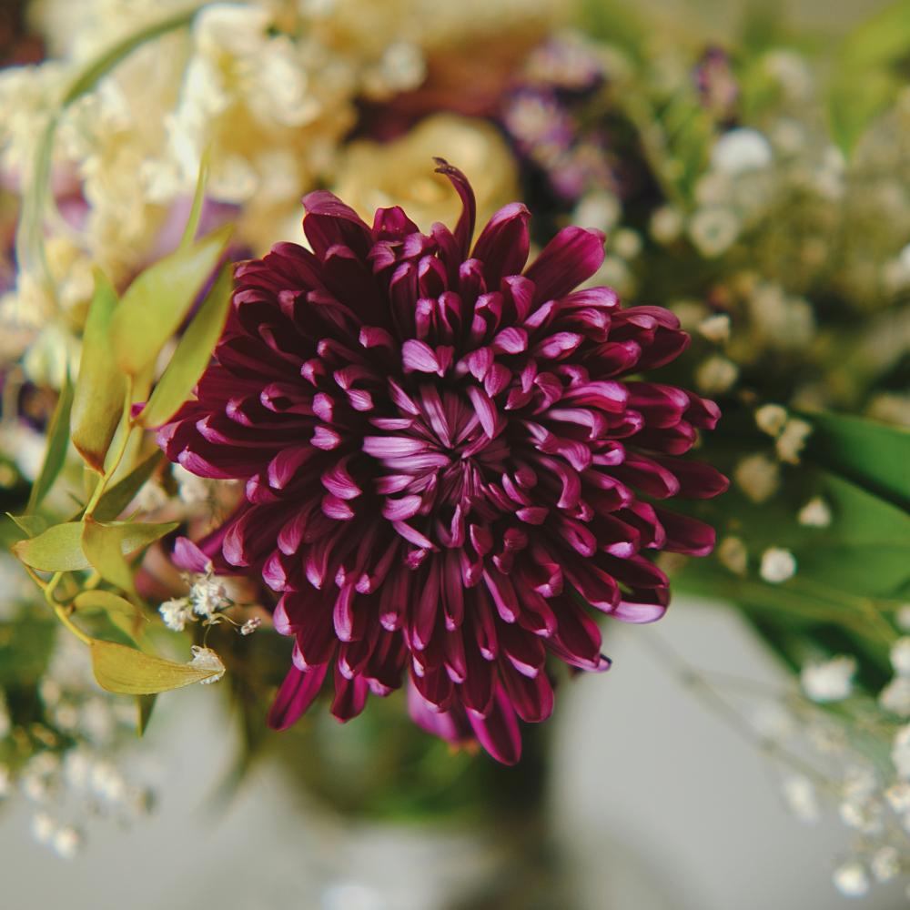 Celebration of Life Event